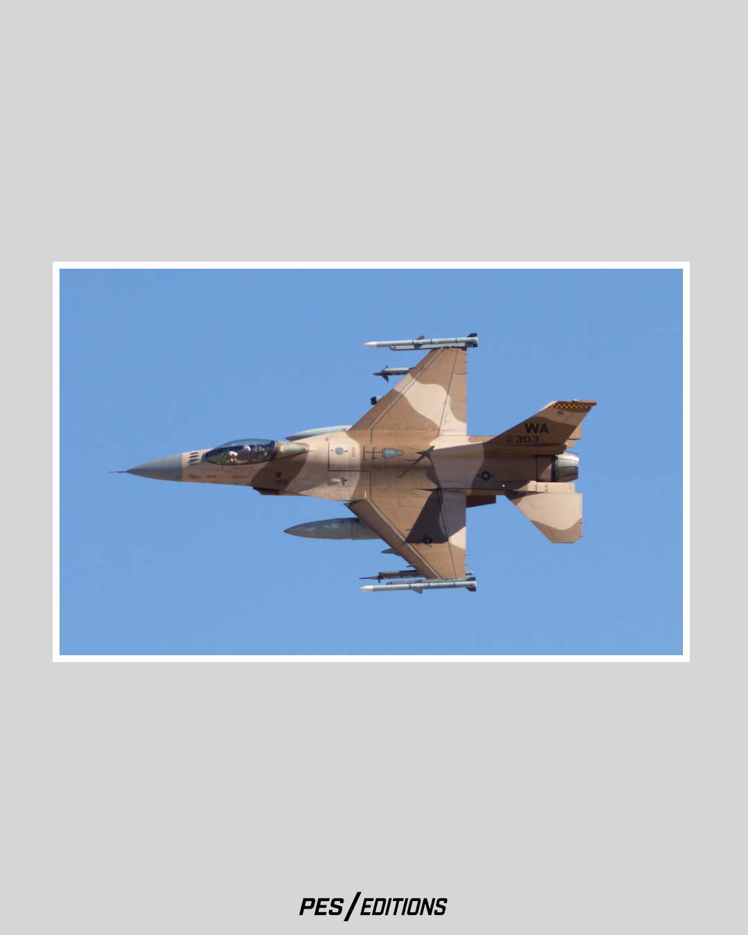 U.S. Air Force F-16 Fighting Falcon 