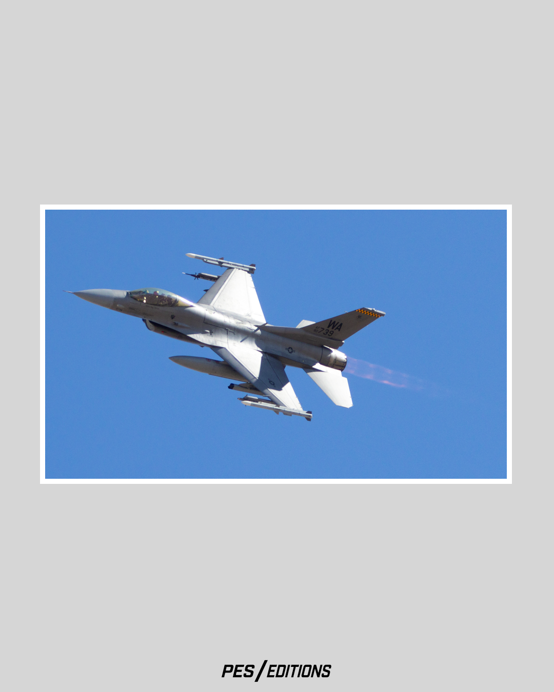 U.S. Air Force F-16 Fighting Falcon 